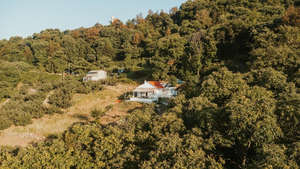 Little Villa Makrirrakhi Exterior photo